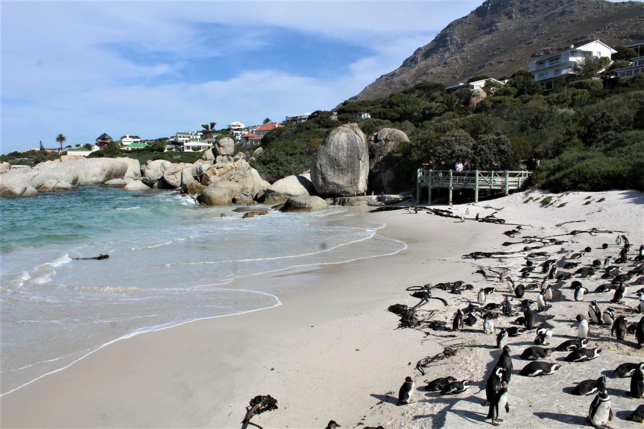 South Peninsula Beach Apartment Cape Town Exterior photo